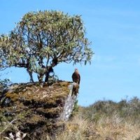 Manu National Park by Philipp Peterer