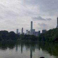 Central Park by Zoë Sheng
