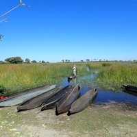 Okavango Delta by Svein Elias