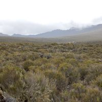Kilimanjaro National Park by Squiffy