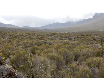 Kilimanjaro National Park by Squiffy