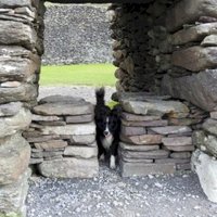 Western Stone Forts by Els Slots