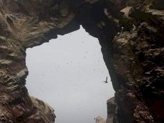Guano Islands, Islets, and Capes National Reserve  by GabLabCebu