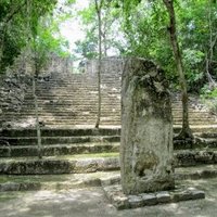 Calakmul by Ammon Watkins