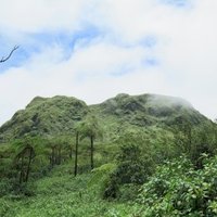 Northern Martinique by Zoë Sheng