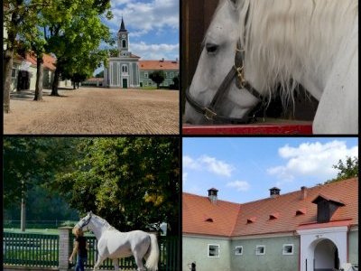 Kladruby nad Labem by Clyde