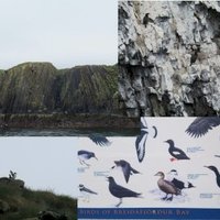 Breiðafjörður Nature Reserve by Zoë Sheng