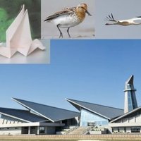 Migratory Bird Sanctuaries China by Zoë Sheng