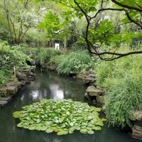Classical Gardens of Suzhou by GabLabCebu
