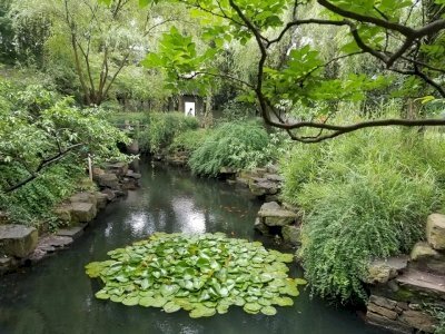 Classical Gardens of Suzhou by GabLabCebu
