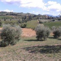 Val d'Orcia by Matejicek
