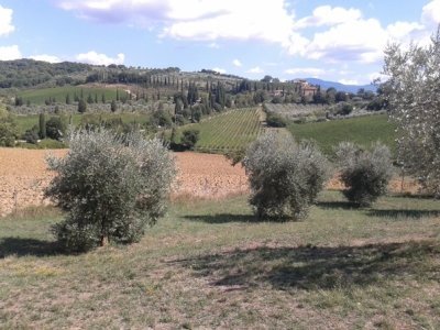 Val d'Orcia by Matejicek