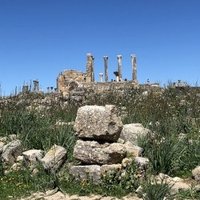 Volubilis by Travel Addicts