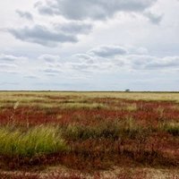 Migratory Bird Sanctuaries China by Zos M