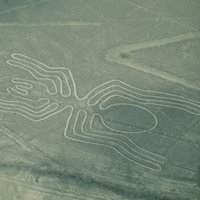 Nasca Lines by Michael Novins