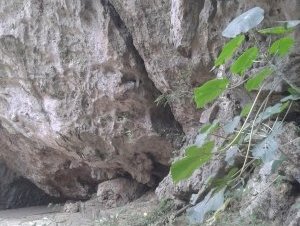 Gusuku of Ryukyu by Matejicek