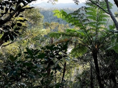 Amami-Oshima Island by Matejicek