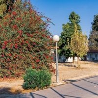 Degania & Nahalal by Ilya Burlak