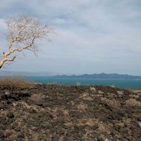 Lake Turkana by Richard Stone