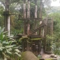 Las Pozas, Xilitla by Zoë Sheng