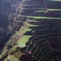 Rice Terraces of the Philippine Cordilleras by Solivagant