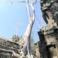 Angkor by Randi Thomsen