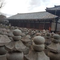 Ancient Nara by GabLabCebu
