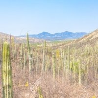 Tehuacán-Cuicatlán Valley by Carlo Sarion