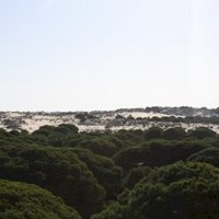 Donana National Park by Jakob Frenzel
