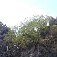 El Nido-Taytay Managed Resource Protected Area by GabLabCebu