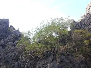 El Nido-Taytay Managed Resource Protected Area by GabLabCebu