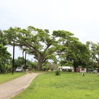 Lapita Pottery Archaeological Sites by Christravelblog