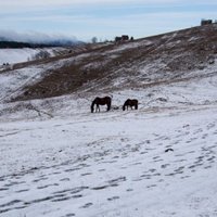 Original Meadow - Pasture Sites of Slovakia by Matejicek