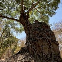 Sambor Prei Kuk by Martina Rúčková