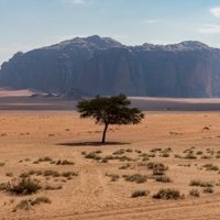 Wadi Rum by Ilya Burlak