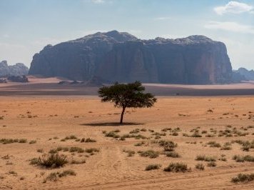 Wadi Rum by Ilya Burlak