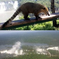 Iguacu by GabLabCebu