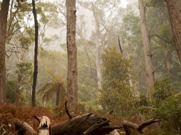 Greater Blue Mountains by Nan
