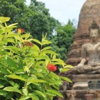Sukhothai by Jakob Frenzel