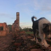 Ayutthaya by Jakob Frenzel