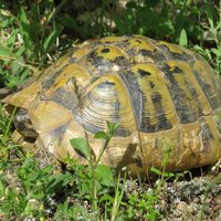 Ohrid Region by Els Slots