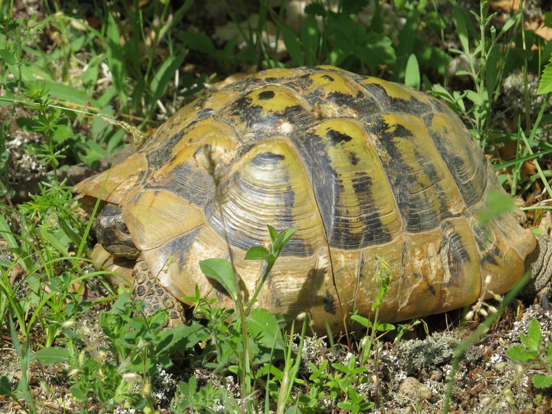 Ohrid Region by Els Slots