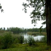 Fishpond Network in the Trebon Basin by Astraftis