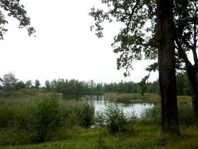 Fishpond Network in the Trebon Basin by Astraftis