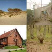 Curonian Spit by Jarek Pokrzywnicki