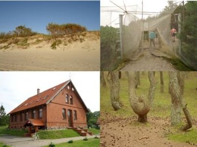 Curonian Spit by Jarek Pokrzywnicki