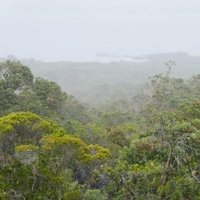 Auckland Volcanic Fields by nan
