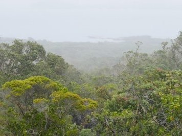 Auckland Volcanic Fields by nan