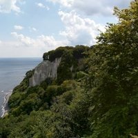Primeval Beech Forests by Nan
