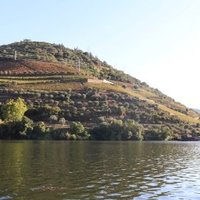 Alto Douro by Jakob Frenzel
